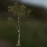 Updated Low poly generic tree