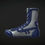 Boxing Shoe