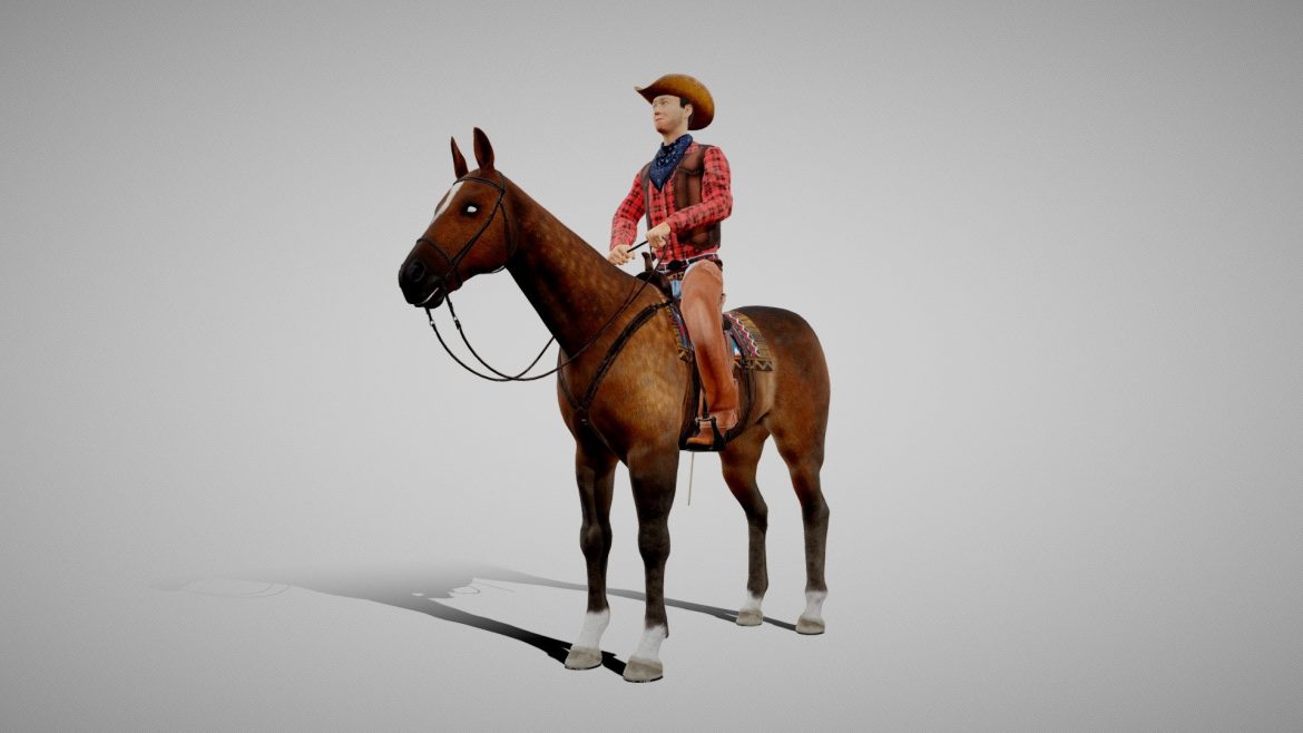 cowboy on the horse.thumb