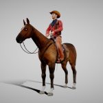 Cowboy on the horse