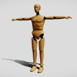 Crash Test Dummy Standing