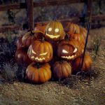 Halloween Pumpkins