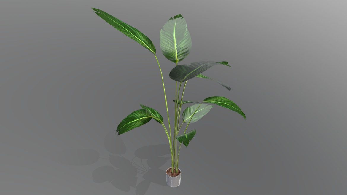 houseplant 2b60863377a34b4588cad353567acdd3.thumb