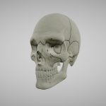 Man Skull