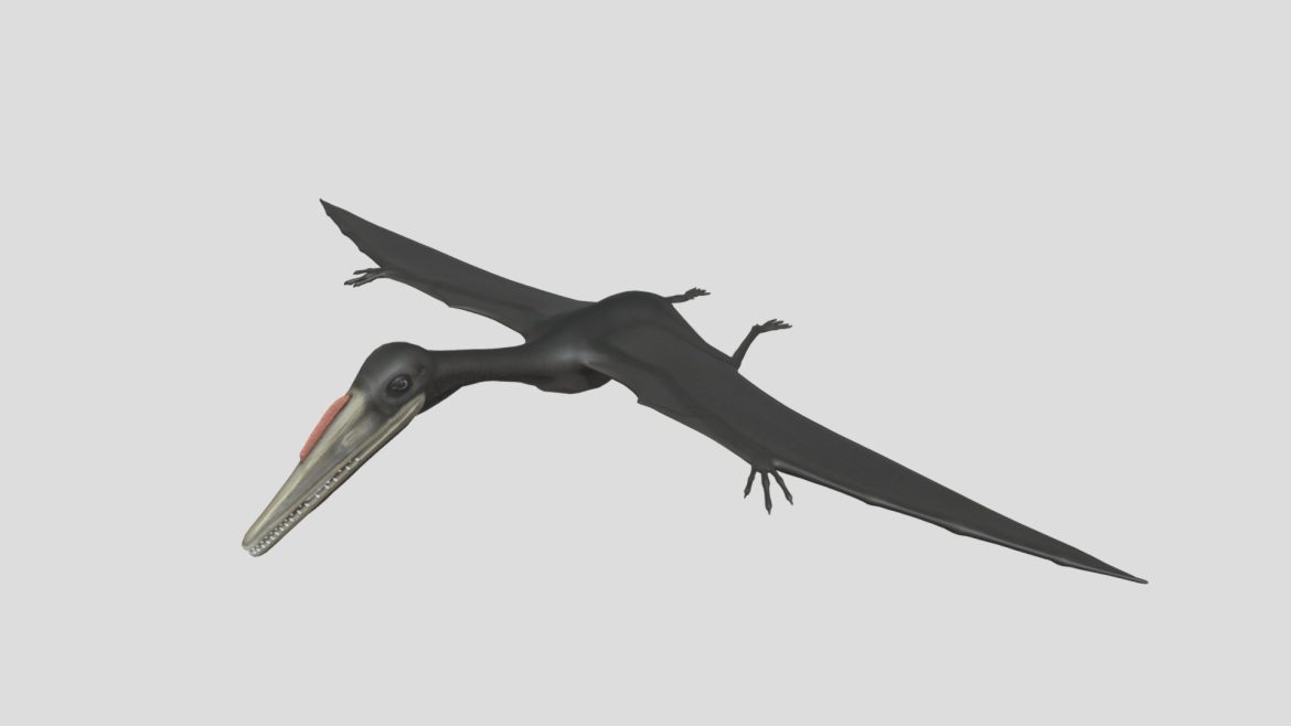 pterodactylus.thumb