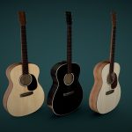 Acoustic Guitars