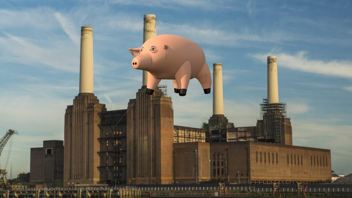 algie pink floyd pig.thumb