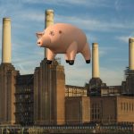Algie – Pink Floyd Pig