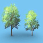 Anime Trees #3