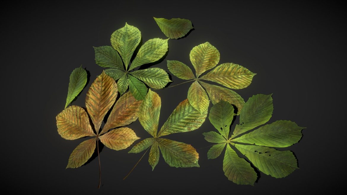 chestnut leaves low poly.thumb