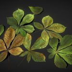 Chestnut Leaves – low poly