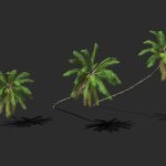 Coconut Palm Trees-02