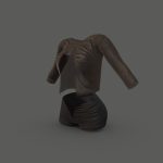 Female Chiffon Transparent Top Shorts Outfit