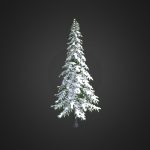 Fir Tree with Snow 3D Model 7m