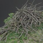 heap pile of cut tree wood branches stack.thumb