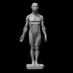 Male Planes of the Body – John Asaro