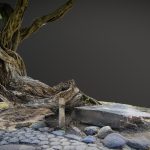 Old japanese tree near road