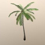 Palm tree