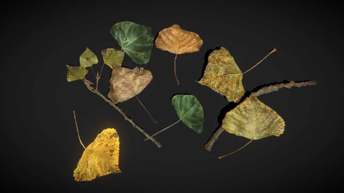 poplar leaves low poly.thumb 1