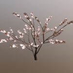Sakura Tree