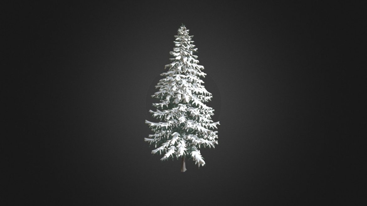 spruce tree with snow 3d model 78m.thumb