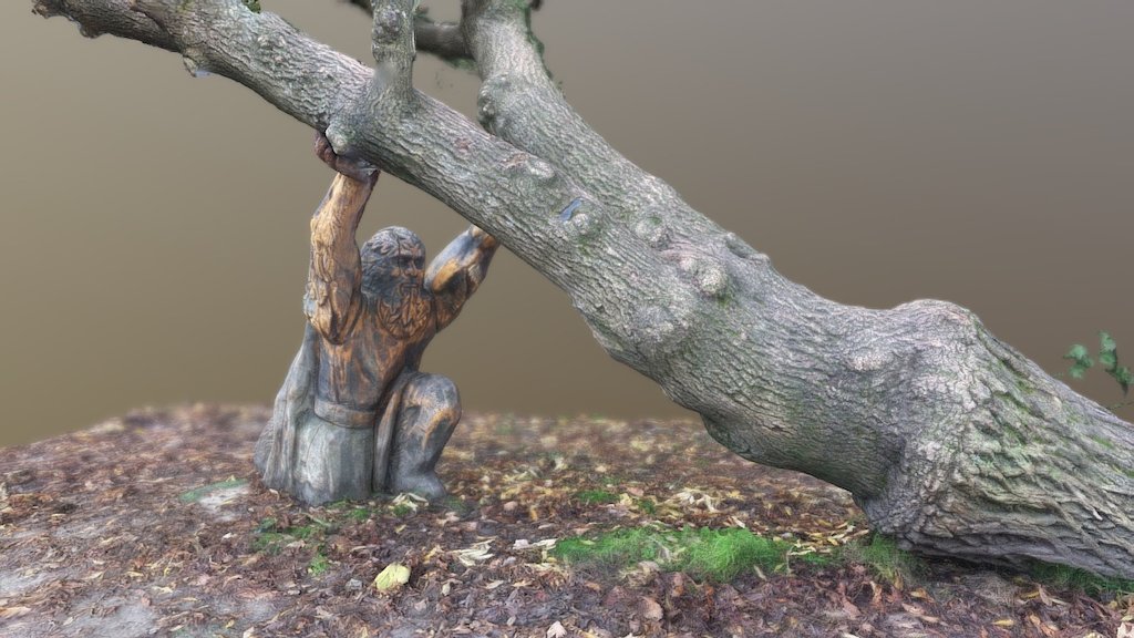 the fight against falling trees.thumb