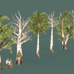 Tree Set