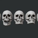 Various Male Skulls (low and highpoly avaliable)