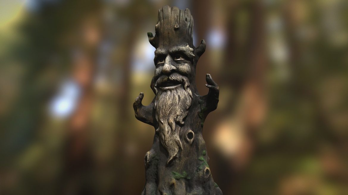 wise tree.thumb 1
