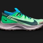Nike Pegasus Trail 2