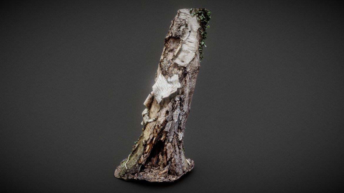 around the paper.thumb