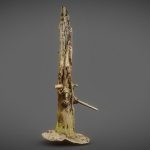 Arrow Stump Bark Tree