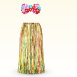 Hawaii Beach Strips Skirt And Flowers Bra Outfit