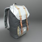 Hershel Little America