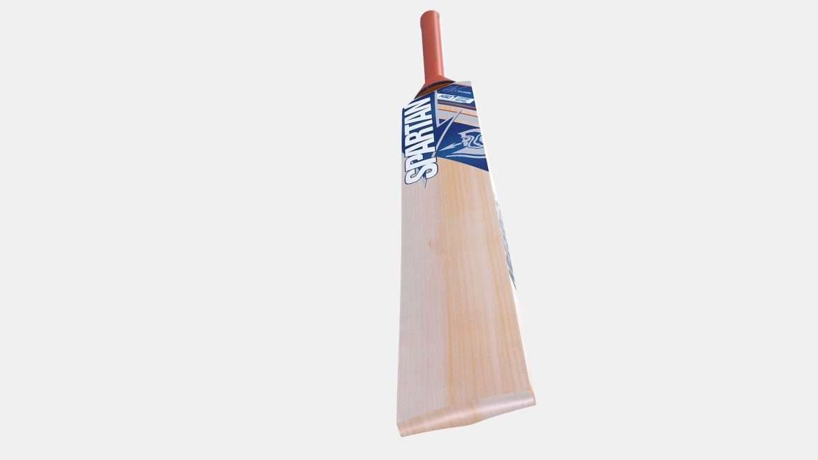 cricket bat.thumb