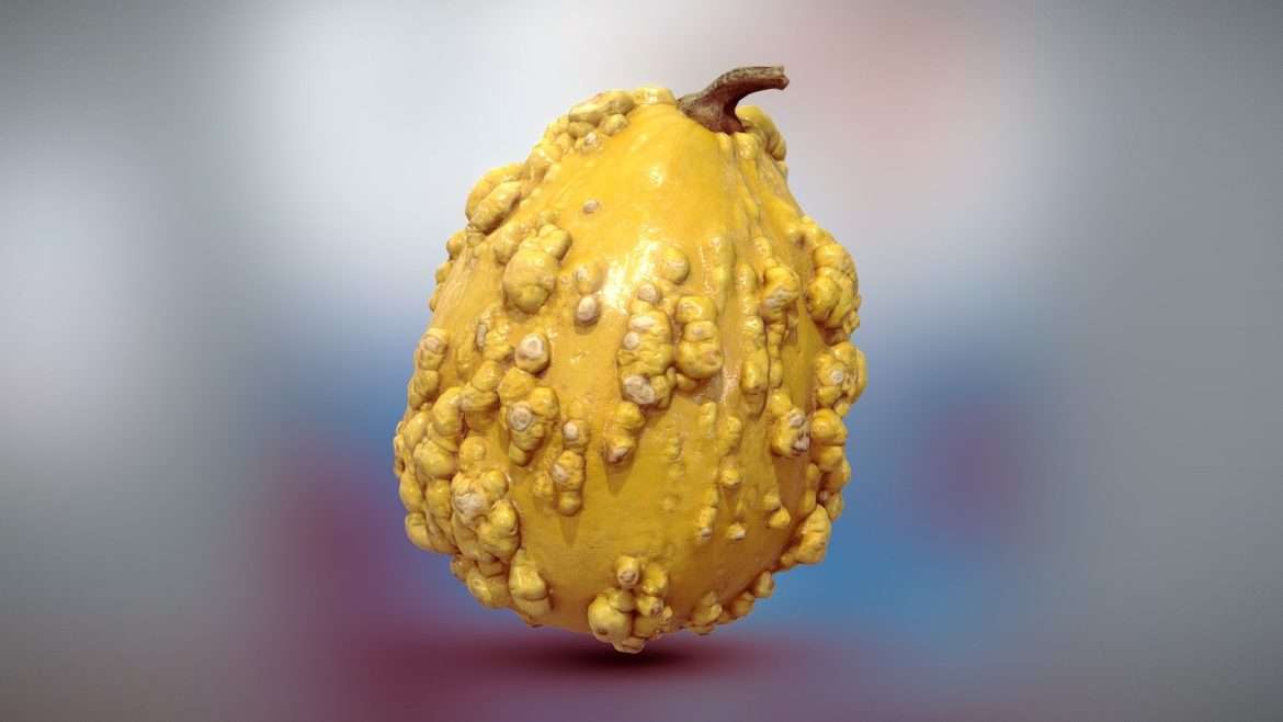 decorative squash gourd.thumb