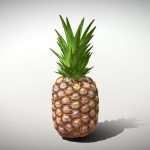 Exotic Fruit Pineapple – Photoscanned PBR