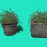 Flower Pot – Ready to Unity HDRP