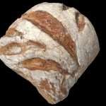 French Bread – “Le Bûcheron” (“the lumberjack”)