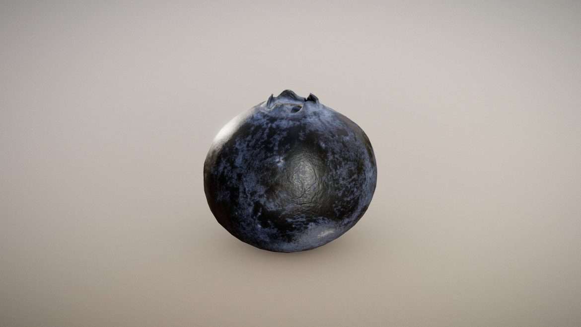 gourmet blueberry surface macro.thumb