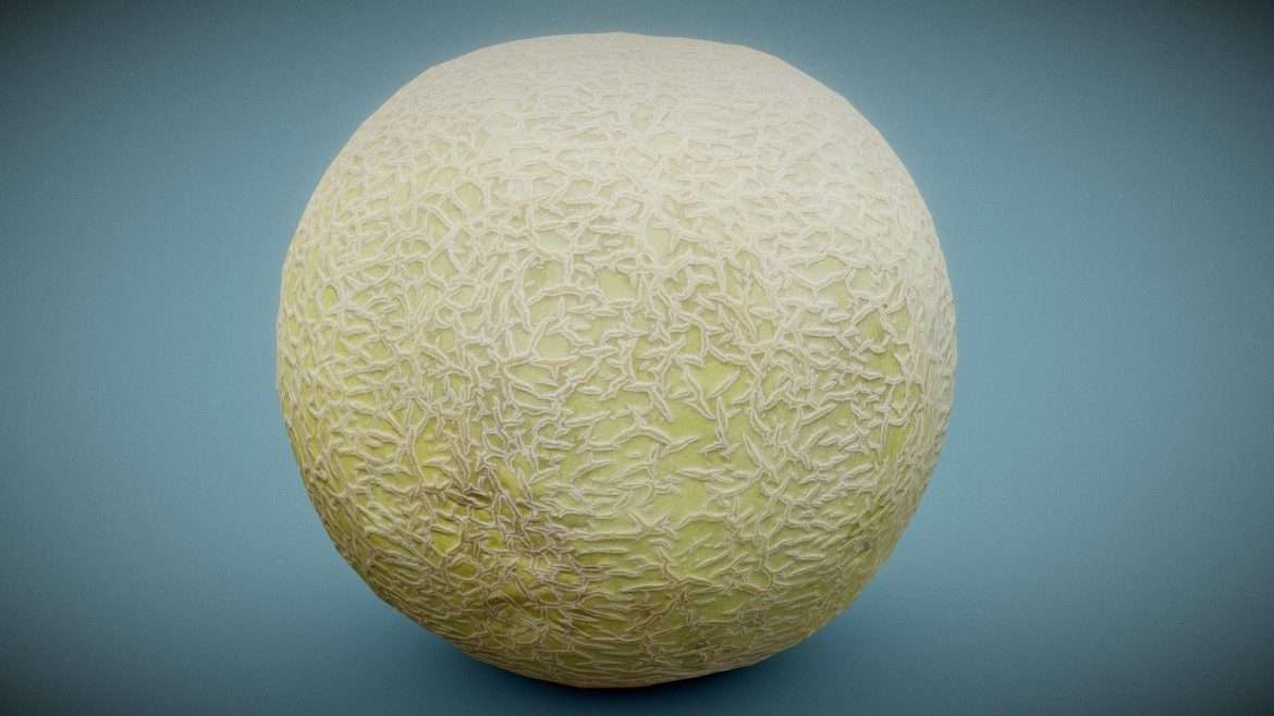 melon.thumb