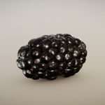 Organic Blackberry (Surface Macro)