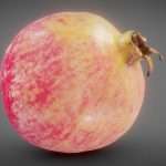 Pomegranate