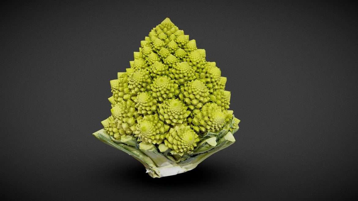 romanesco.thumb 2