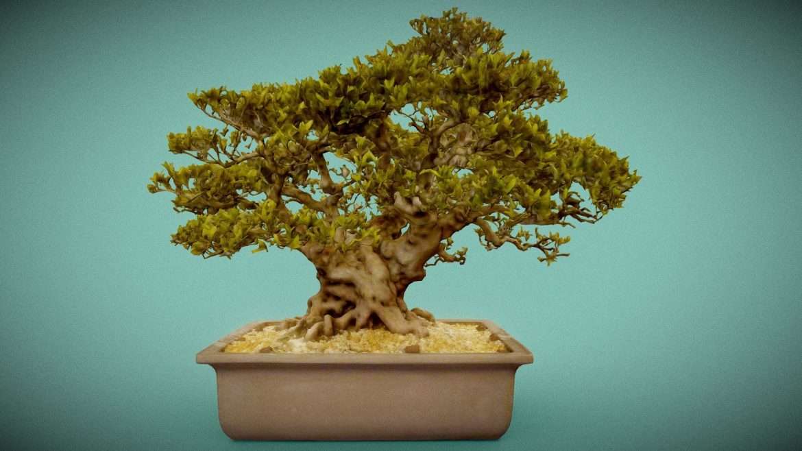 satsuki nyohozan 2.thumb