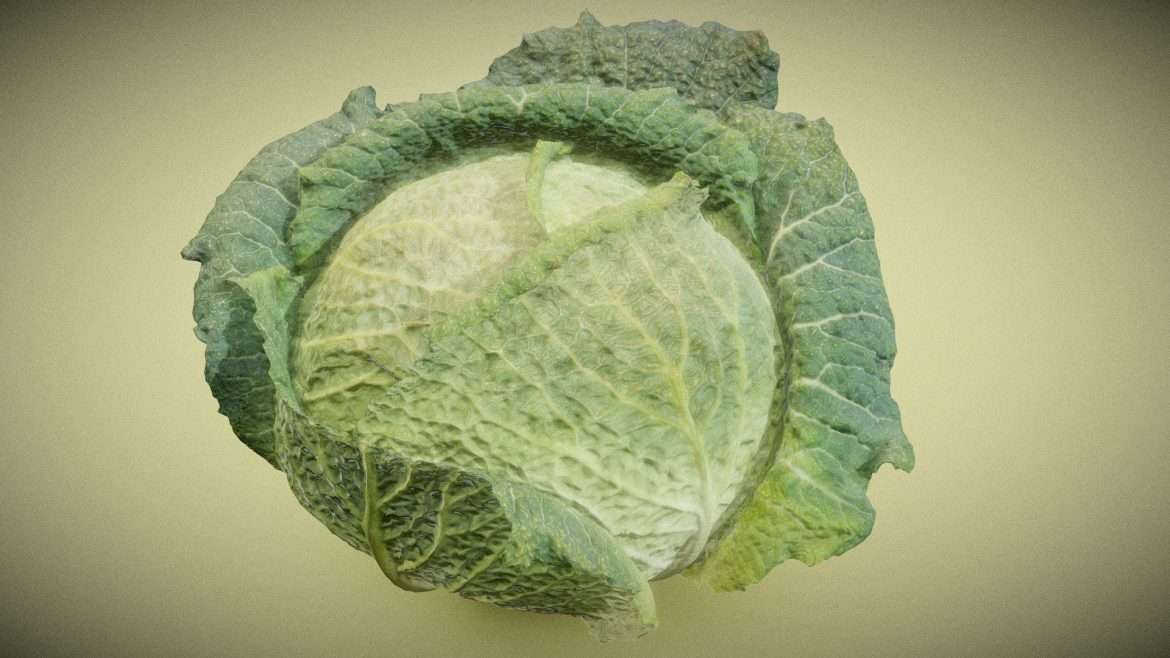 savoye cabbage.thumb