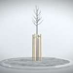 Tilia Tree 2 Meters in Winter Season