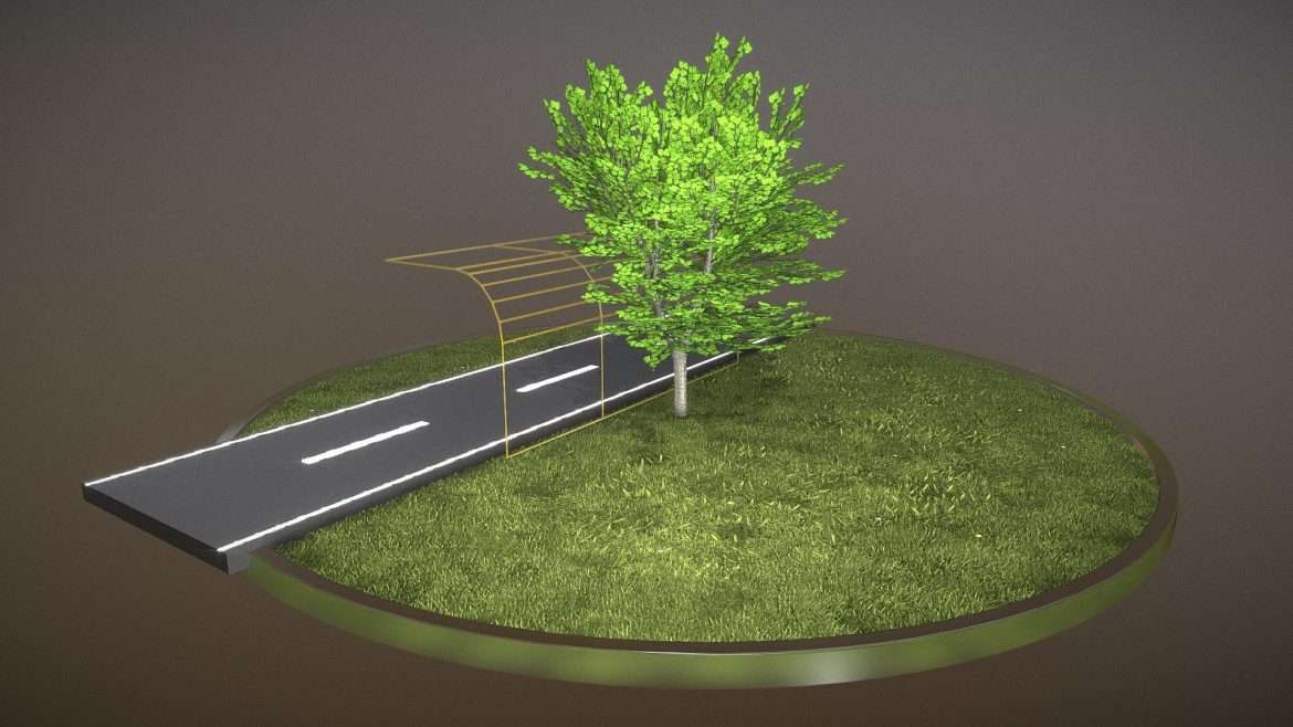 tilia tree 6 meter cropped branches summer.thumb