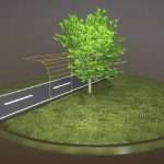 Tilia Tree – 6 Meter – Cropped Branches – Summer