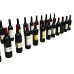 Wine Bottle (24 Pack)
